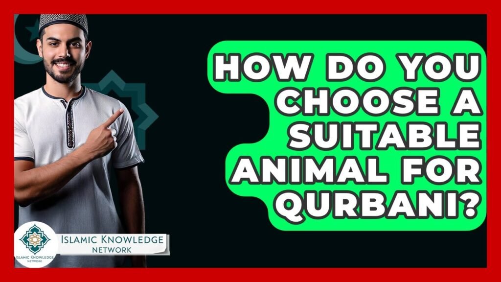How to Choose the Right Animal for Qurbani?
